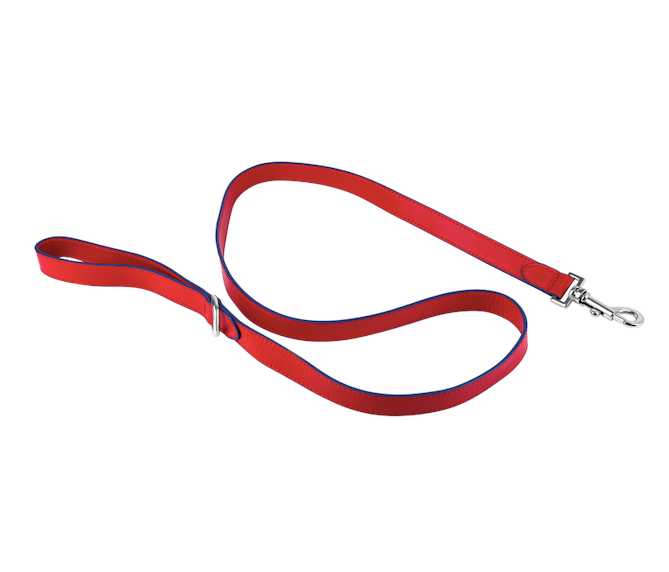 TYRO STREET LEASH
