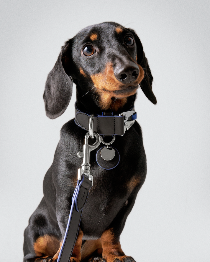 TYRO STREET LEASH