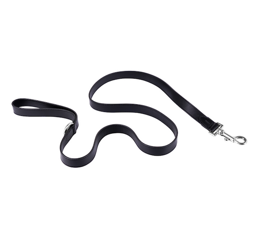 TYRO STREET LEASH