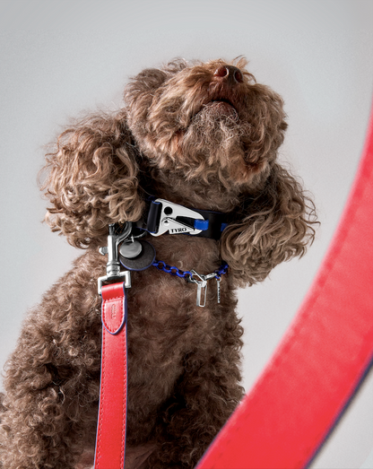 TYRO STREET LEASH