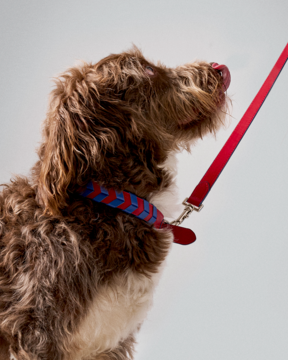 TYRO BRAIDED COLLAR