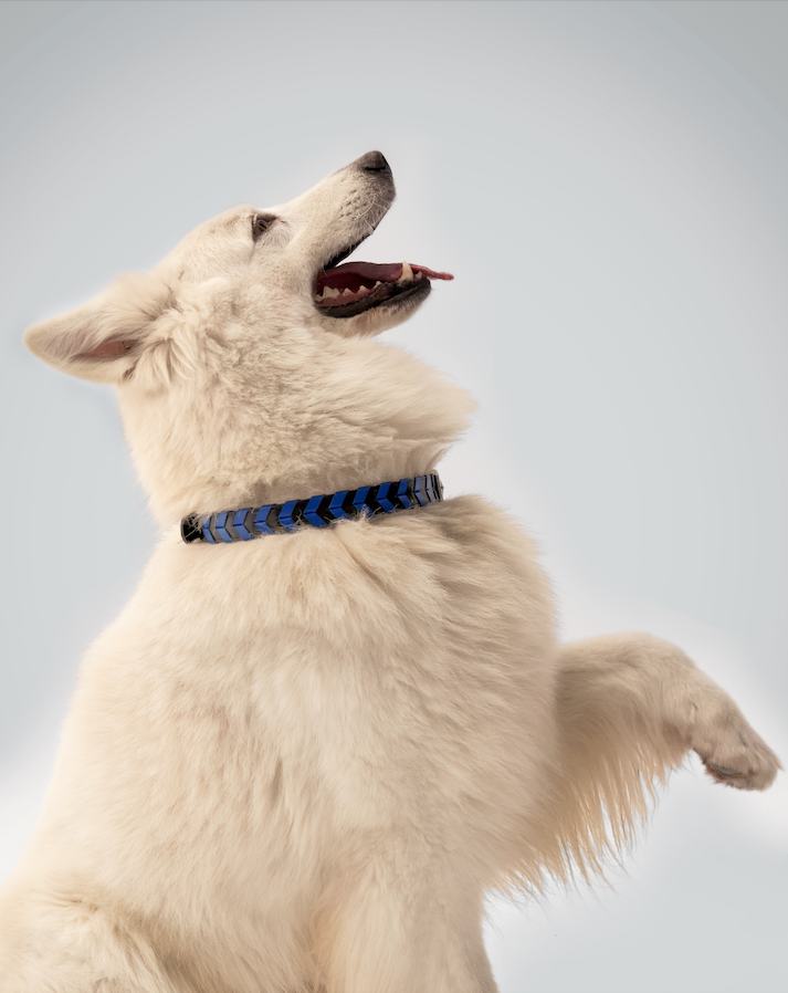 TYRO BRAIDED COLLAR