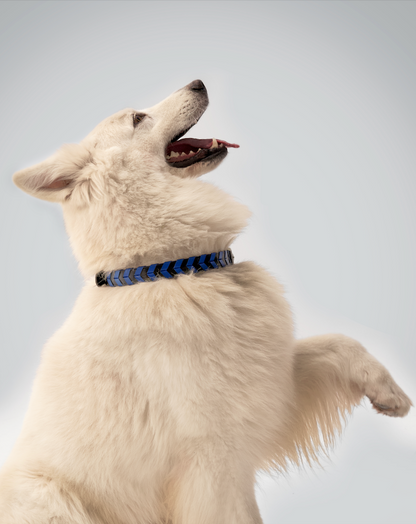 TYRO BRAIDED COLLAR